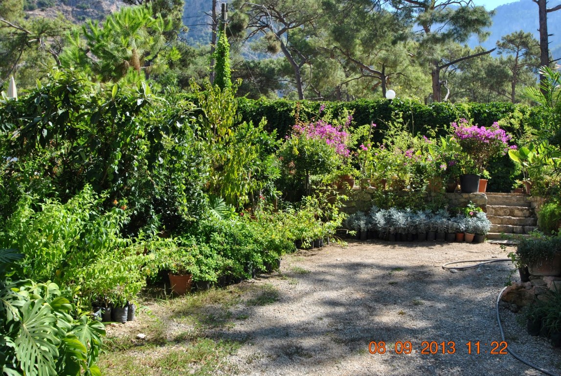 imagini hotel LYKIA WORLD OLUDENIZ